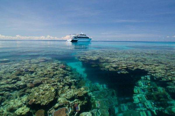 Diving with Pro Dive at the Great Barrier Reef in Cairns