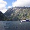 Milford Sound Cruise_New Zealnd