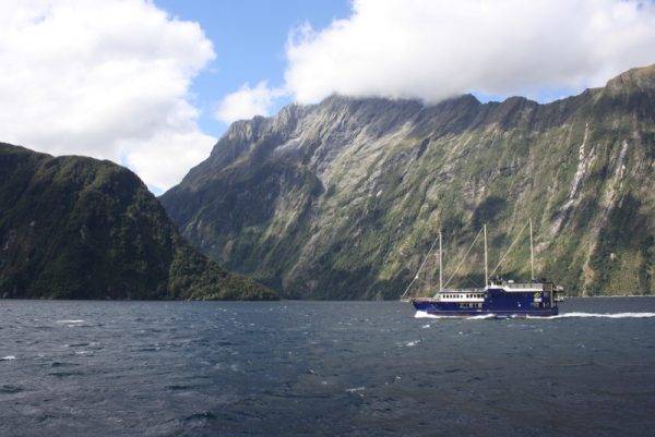 Milford Sound Cruise_New Zealnd