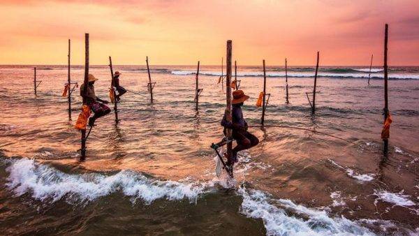 Sri Lanka Fishing with One Life Adventures