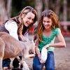Feed the kangaroos at Currumbin Wildlife park