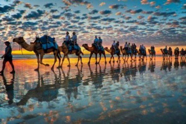 Camel ride- Broome- Sunset- West Australia