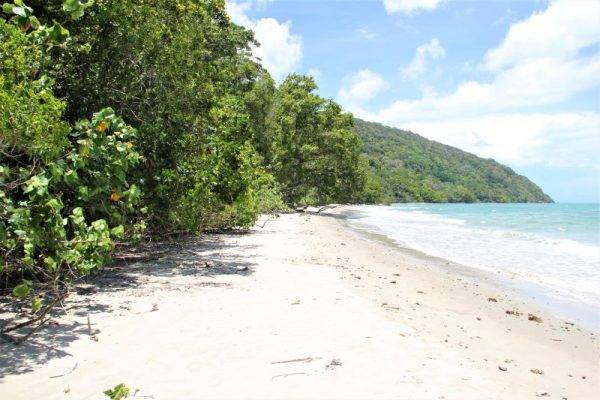 Cape Tribulation_Daintree National Park_Port Douglas_Cairns