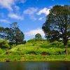 Hobbiton - New Zealand - Lord of the Rings- Hobbit