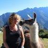 Maya_Machu Picchu_Peru_alpaca