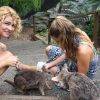 Rock wallabies_Granite Gorge_Tablelands_Cairns