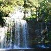 Russel Falls_Tasmania