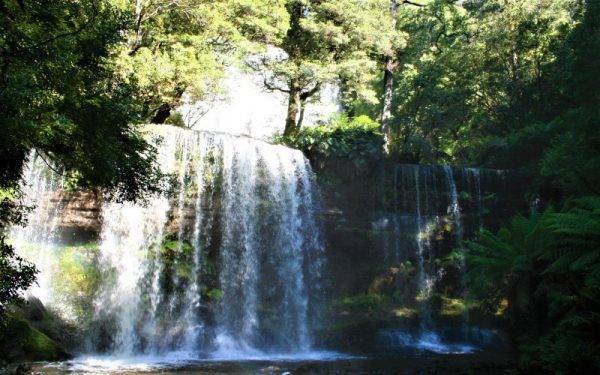 Russel Falls_Tasmania