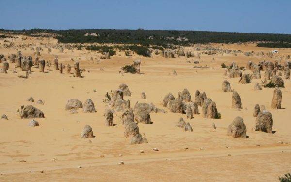 The pinnacles Dessert_Nambung_WA