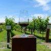 Wine tasting in the Barossa Valley