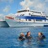 oceanquest-liveaboard-dive-vessel-cairns