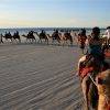 sunset camel ride in Broome