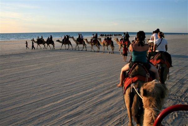 sunset camel ride in Broome