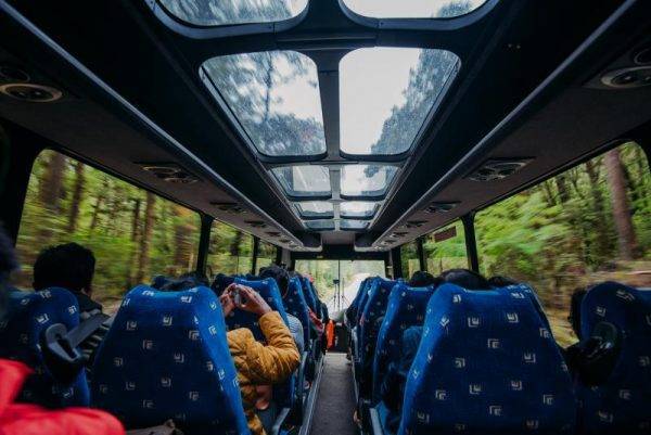 Go Orange Glass roof bus