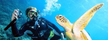 Travel agent, Maya, scuba diving with reef turtle