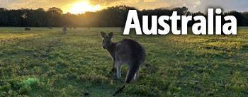 Australia transport title with Kangaroo in background