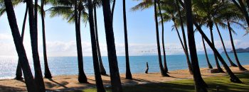 Palm Cove Beach view in Cairns, Australia