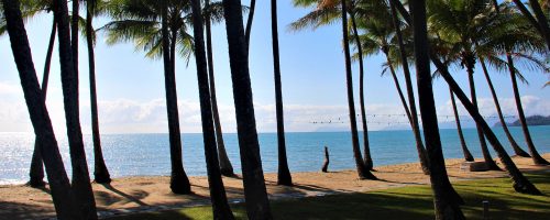 Palm Cove Beach view in Cairns, Australia